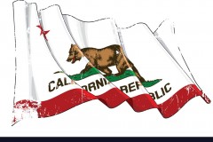 Textured Grunge Waving Flag of the State of California