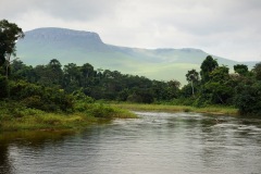 Congo-13