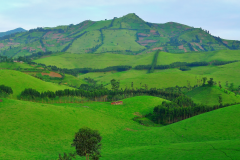 DRC-Congo_Demokrasia-Teseum_Flickr-CCBYNC