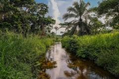 DRC-River