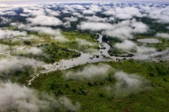 DRC-World-Heritage-Congo-Basin
