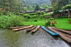 DemoRepCongo_header-1