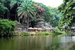 Drc